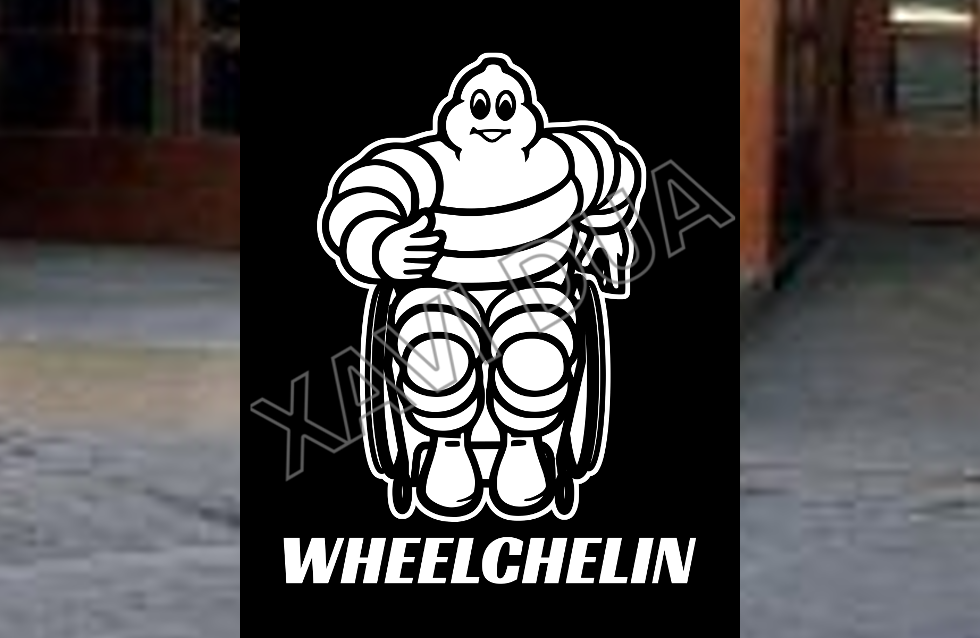 Cabecera guía wheelchelin